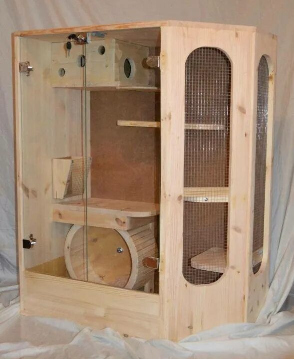 Клетка вольер для белок. Бельчонок в клетке. Клетка для белок. Вольер для дегу. Клетка для белок.