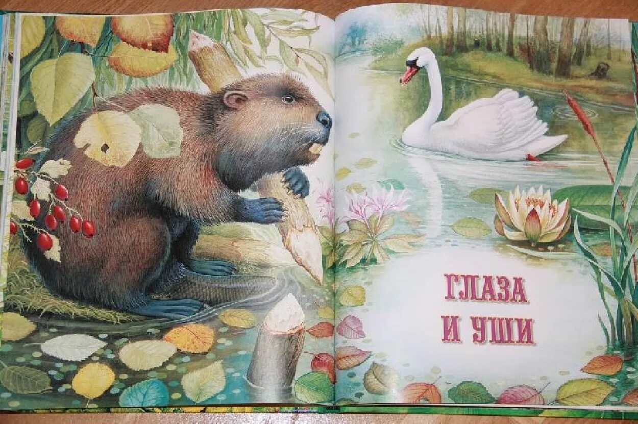 Рассказы о природе 3 класс бианки лесная газета. Лесная газета ищем квартиры. "лесная газета". Бианки писатель натуралист. Бианки в.