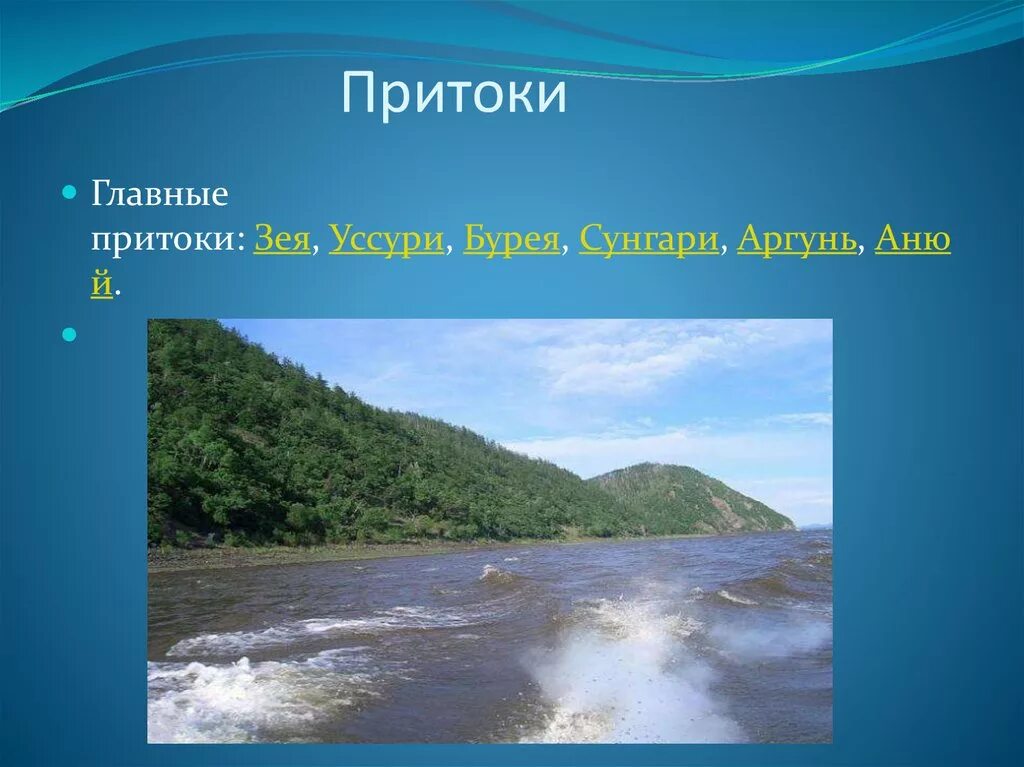 2 притока амура. Притоки реки Амур. Река Амур притоки Амура. Притоки реки реки Амур. Притоки Зея Бурея Уссури.