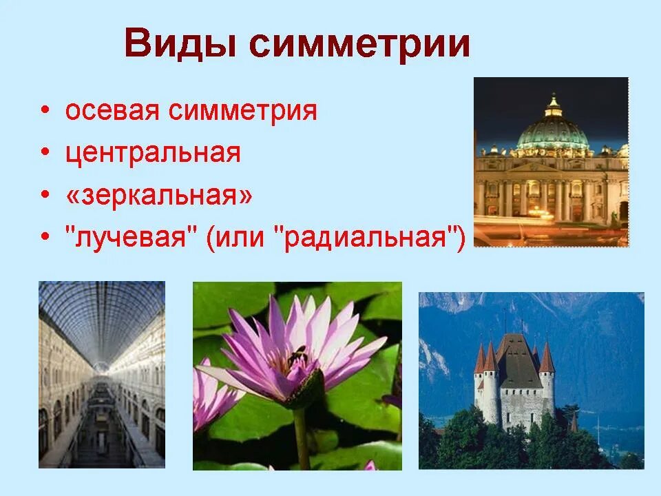 Примеры симметрии в природе. Симметрия в жизни презентация. Презентация на тему симметрия в жизни. Симметрия в природе и искусстве. Ось симметрии в природе.