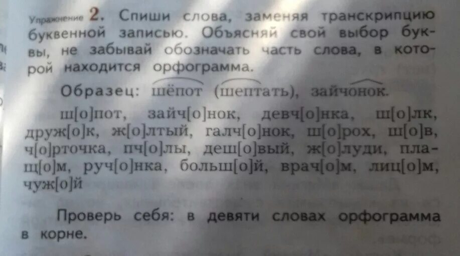 Замени слово худо. Спиши слова. Буквенная запись слов с транскрипцией. Спиши слова заменяя транскрипцию буквенной записью. Как записать буквенную запись слов с транскрипцией.