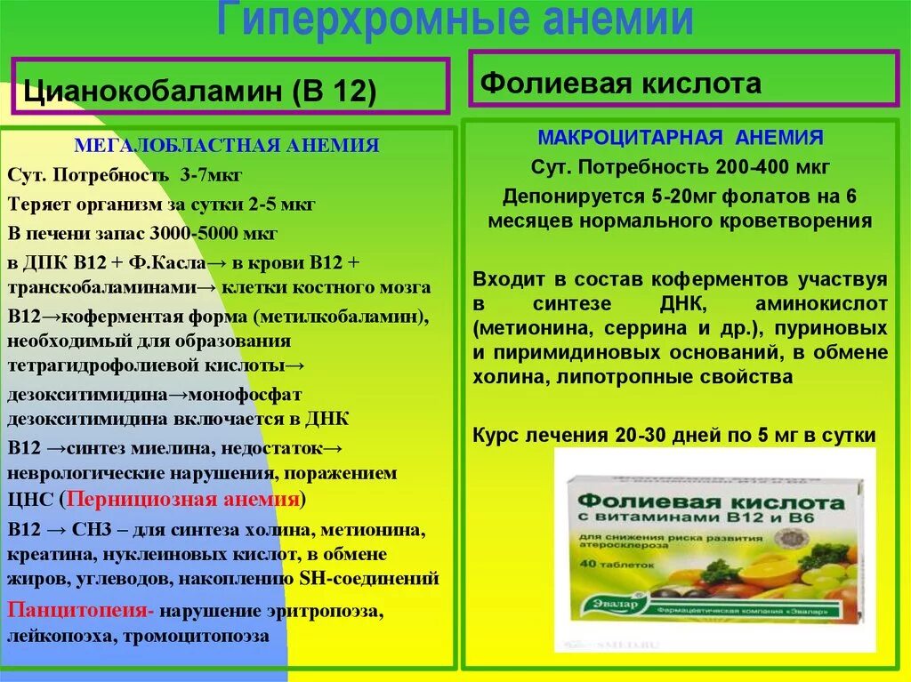 Гиперхромная анемия препараты. В12 анемия гиперхромная мегалобластная. Препараты при гиперхромной анемии. Витаминный препарат для лечения гиперхромной анемии. Средство терапии гиперхромных анемий.