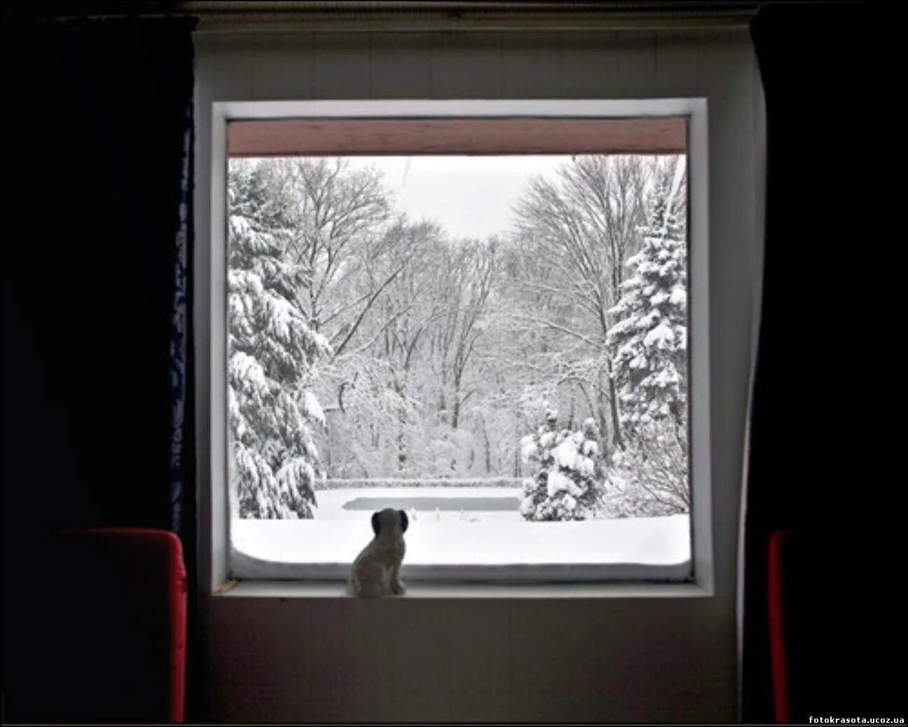 Look out of the window it snow