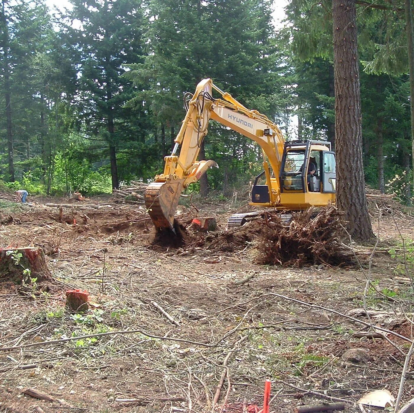 Clearing land. Land clearing. Clearing. Cleared for Land. Clearing a landing site in Asia.