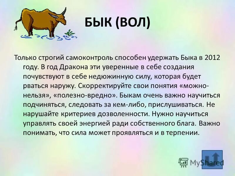 Гороскопы бык лев. Бык гороскоп. Вол бык. Рожденным в год быка. Характер быка.