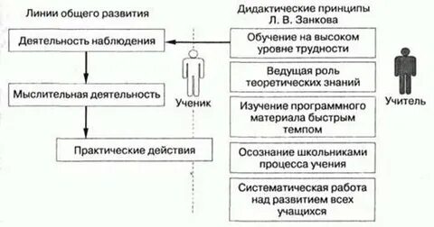 Принципы системы обучения занкова