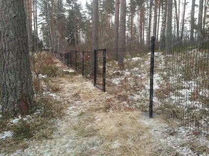 Лесные участки огораживают