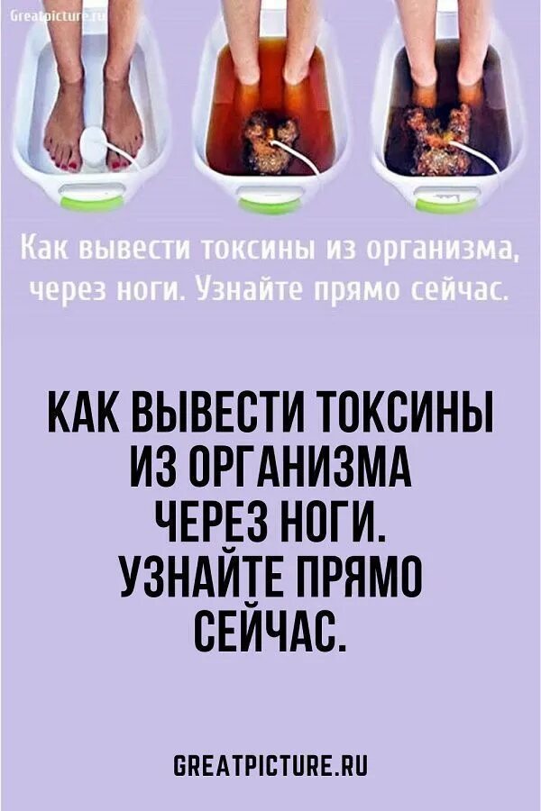 Как выводятся токсины. Выводить токсины из организма. Вывод токсинов из организма. Выведение токсических веществ из организма. Вывод токсинов из организма через ноги.