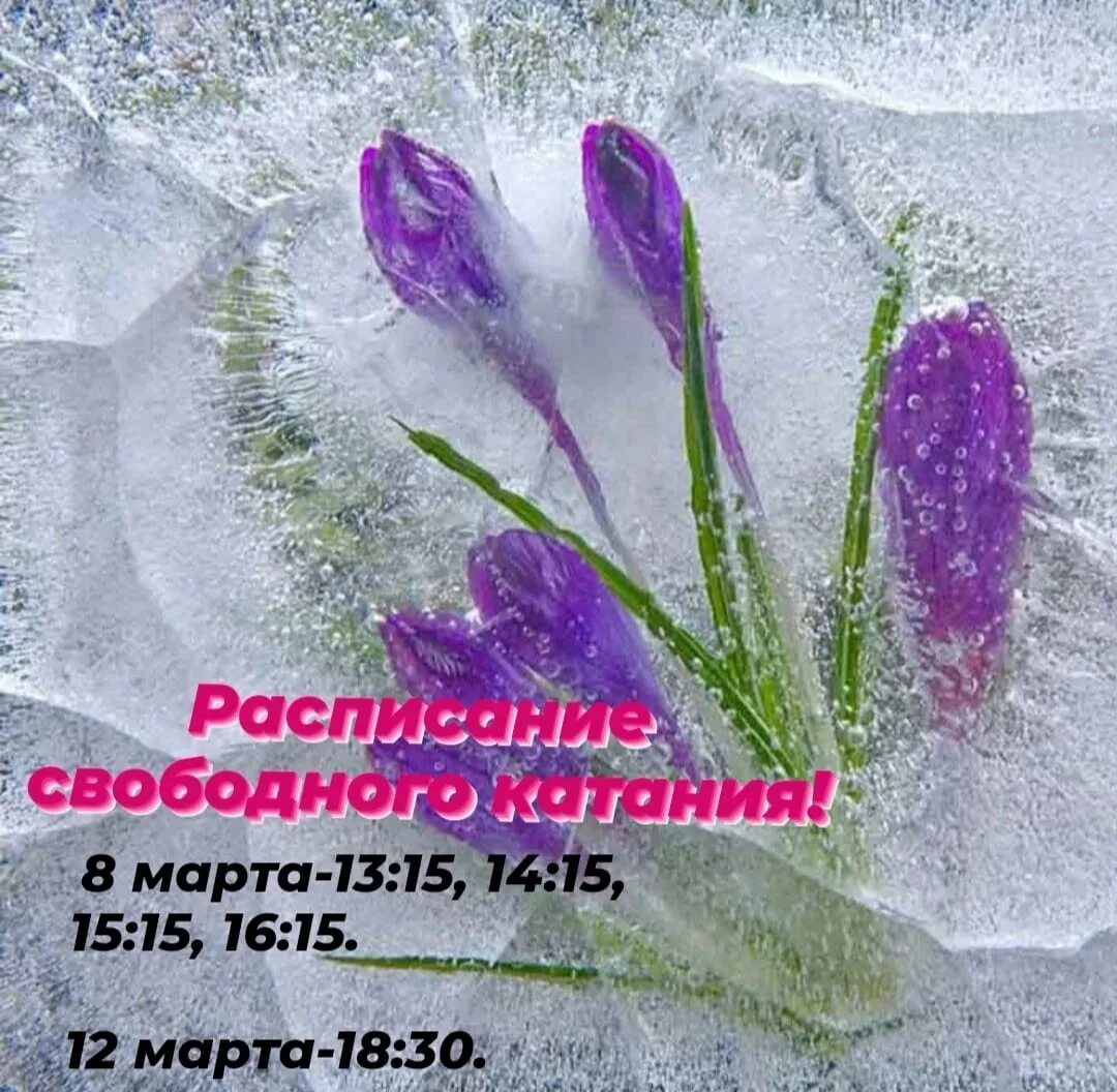 Открытки соболезнования. Открытку искренние соболезнования. Мои соболезнования. Открытка примите соболезнования. Поимите наши соболез.