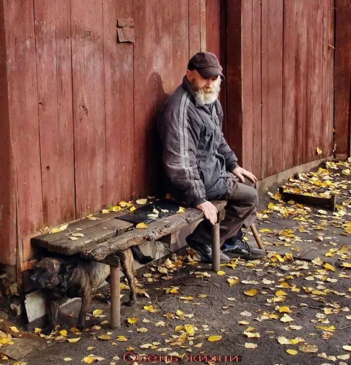 Одинокий старик. Старички на лавочке. Одинокий старик на лавке. Старик сидит на скамейке. В деревеньке я живу на завалинке