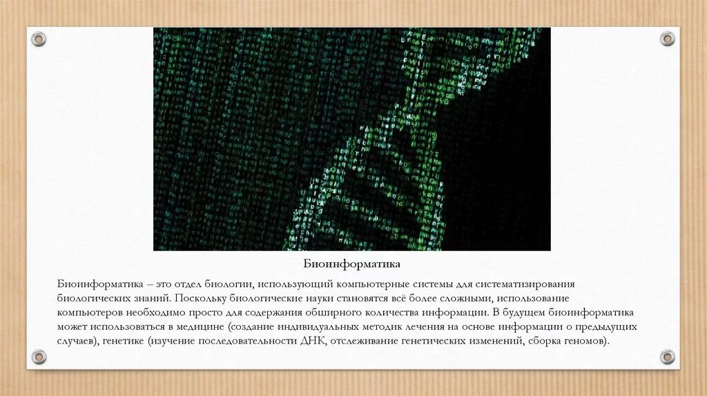 Суть биоинформатики. Биоинформатика последовательностей. биоинформатика презентация. биоинформатика это в биологии. методы биоинформатики.