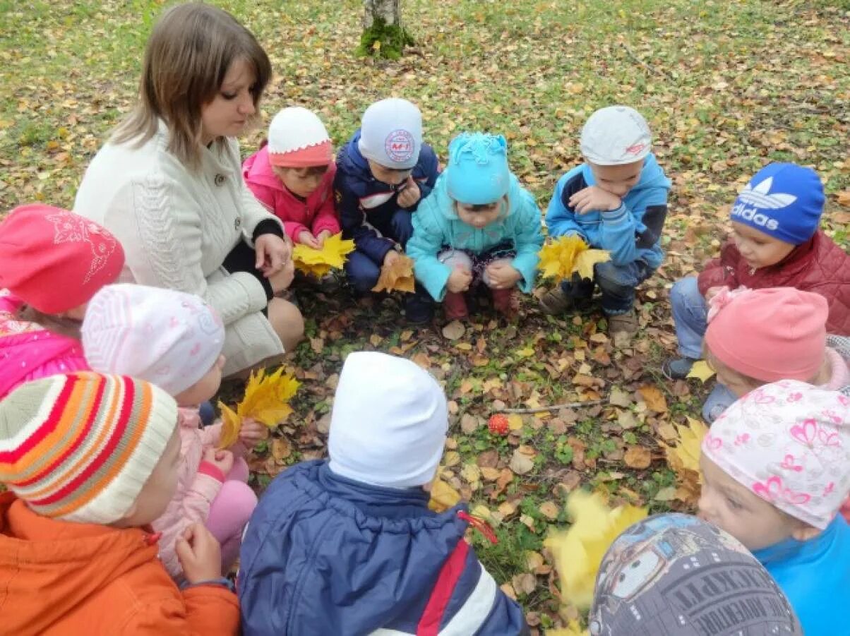 Прогулка с детьми в старшей. Наблюдение на прогулке. Наблюдение в детском саду на прогулке. Дети наблюдают на прогулке. Картинка наблюдения на прогулке.