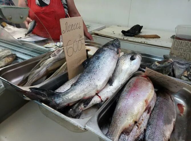 рыба карелии магазин петрозаводск первомайский проспект. рыба карелии. рыба карелии петрозаводск. рыба карелии первомайский 30. рыба карелии магазин петрозаводск.