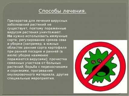 Борьба с вирусами