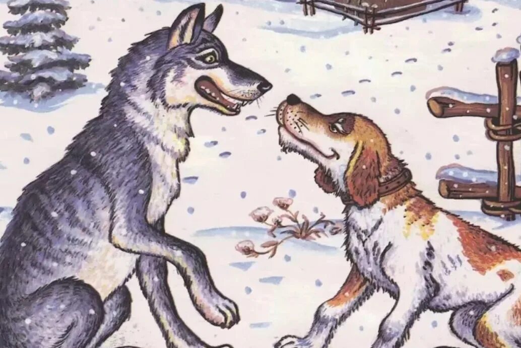 Голодные сказки. Сказка волк и собак Ушинский. Волк и собака Ушинский иллюстрации. Волк сказка.