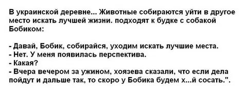 Анекдот про перспективу