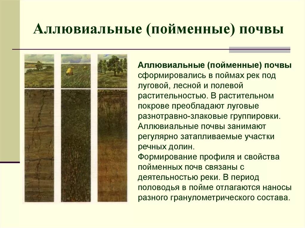 Аллювиальные пойменные дерновые почвы профиль. Дерновые почвы почвенный профиль. Почвенный профиль бурых лесных почв. Профиль аллювиально Луговой почвы. Почвы долины рек