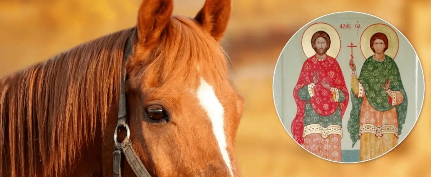 31 августа 2016 г. 31 августа день провалов в памяти. День борьбы с провалами в памяти картинки. 31 августа праздник день блога. Лето надпись.