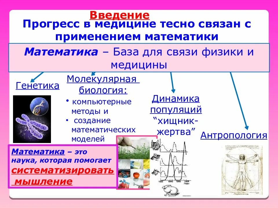 Математика в медицине. Применение математических моделей в медици. Математические модели в медицине презентация. Применение математики в медицине.