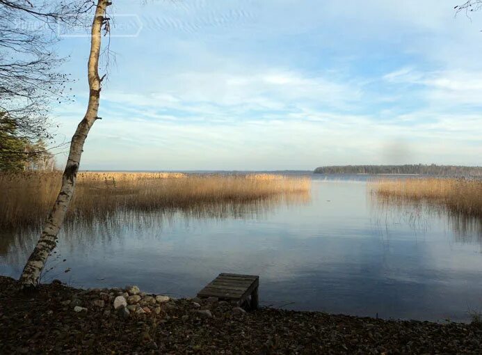 цветково приозерский район. крепость корела в карелии. озеро отрадное приозерский район. погода цветково лен обл приозерский. лесное озеро отрадное.