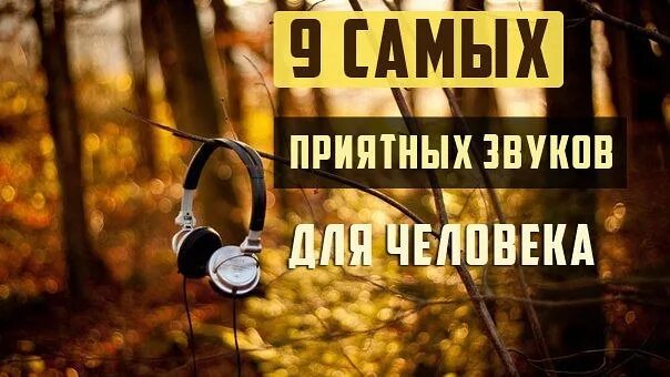 Короткие звуки mp3. Приятные звуки для человека. Самый приятный звук для человека. Самые приятные звуки для мужчин. Приятный шум.