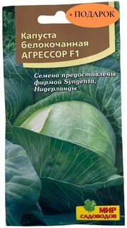 Капуста агрессор характеристика и описание