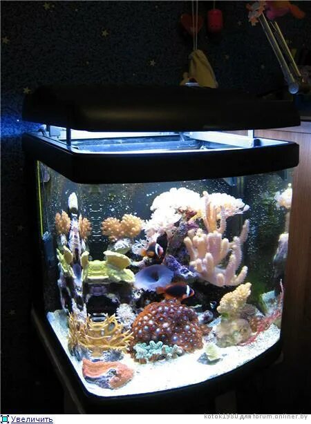 аквапоника растения. аквариум голдфиш 100 литров. есть 2 кнопки если нажать на серую. сколько рыб на литр аквариум. аквариум 300л барбусы.