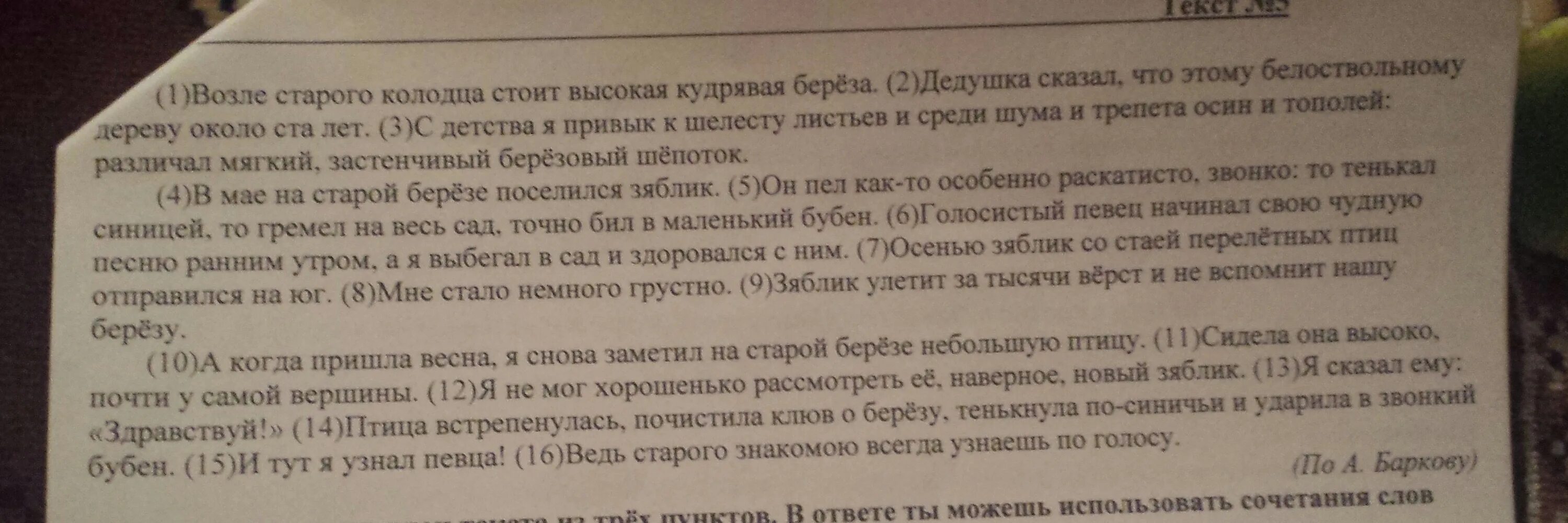 Основная мысль текста стоит ли перечитывать старинные. Возле старого колодца стоит высокая кудрявая береза. План текста старой Колодезь. Основная мысль текста про березу. Основную мысль произведения старый колодец.