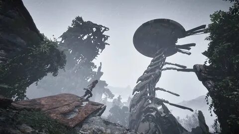 Длинношей лес стражей horizon