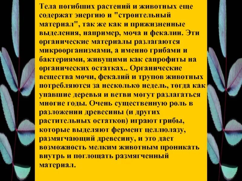 Почему растения гибнут
