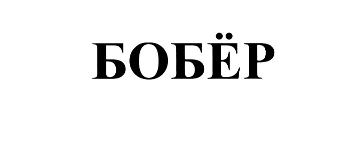 Боьёр на зелёном фоне. Карточка с картинкой бобры. Логотипы с бобрами. Этикетки для бобровой струи. Слово бобровый.