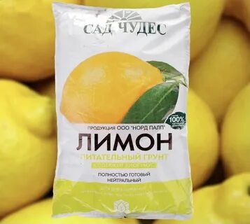 Грунт для лимона
