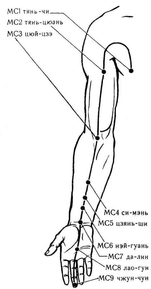 Точка mc 6. Меридиан перикарда в китайской медицине точки. Меридиан перикарда биологически активные точки. Меридиан сердца точки акупунктуры. МС 5 точка акупунктуры.
