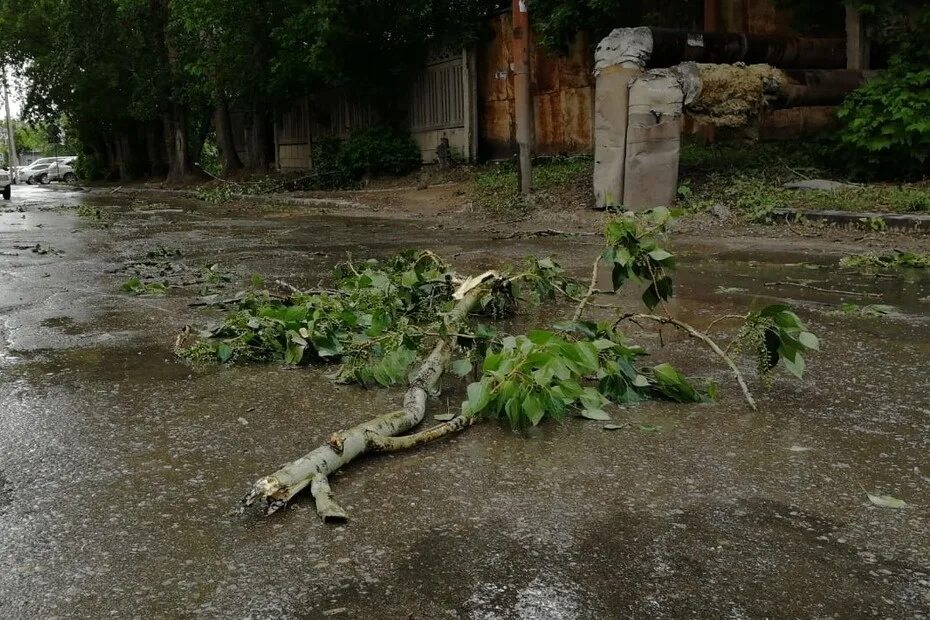 Дерево убило девушку. Дерево убило девушку. Дерево убило девушку. Огромное дерево упало на дорогу в деревне. Упавшее дерево.