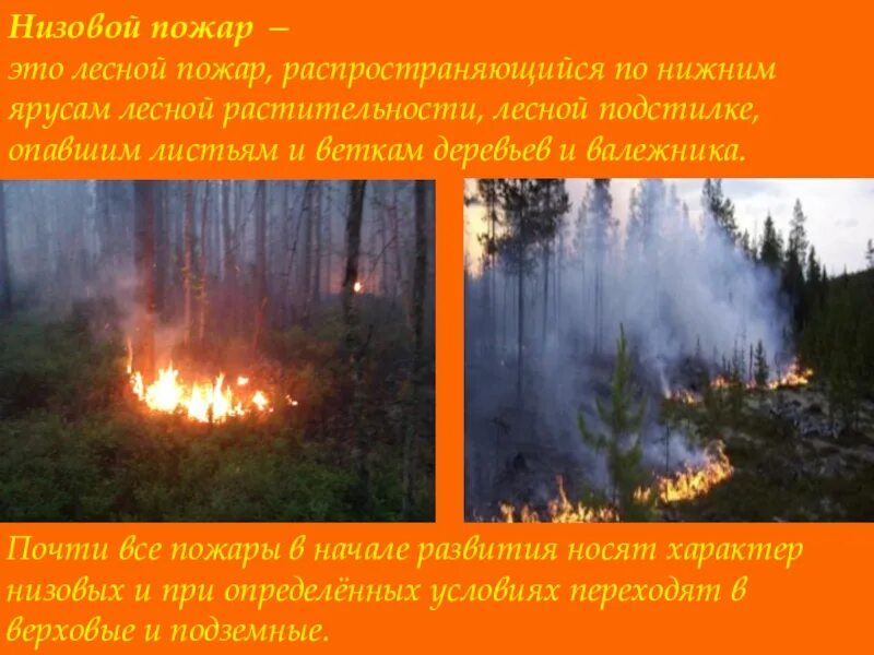 Лесной низовой пожар характеристика. Низовой пожар. Низовой устойчивый пожар. Низовые пожары разделяются на.