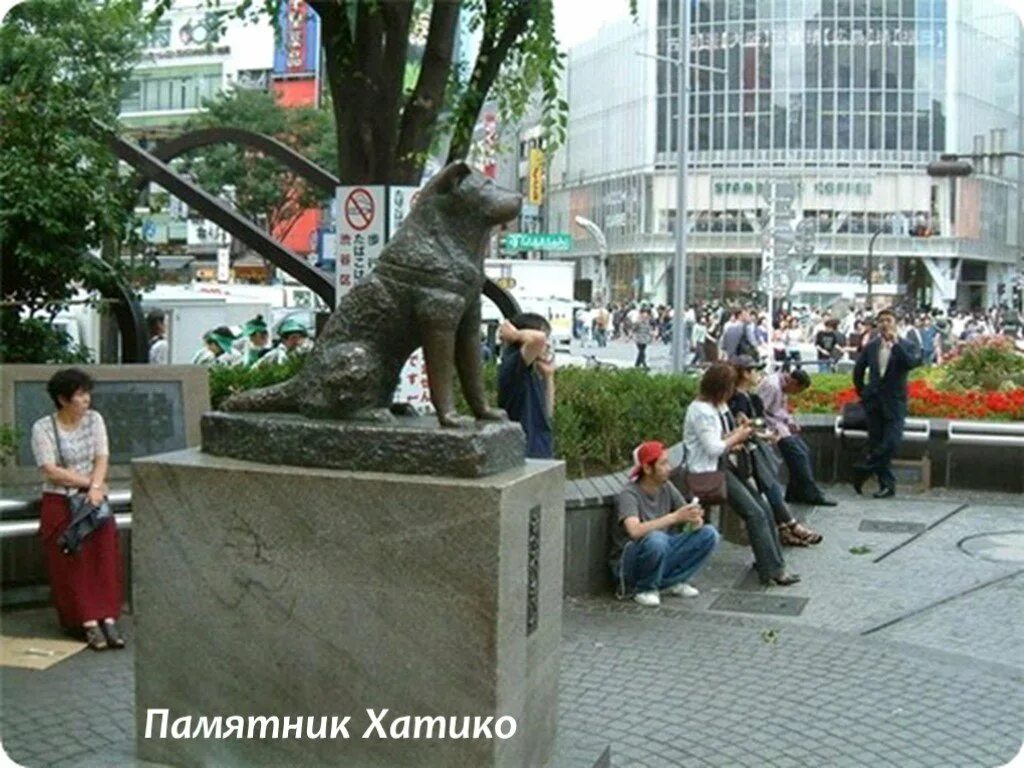 Сибуя Токио памятник Хатико. Памятник Хатико в Японии. Памятник собаке Хатико в Японии. Памятник псу Хатико в Японии.