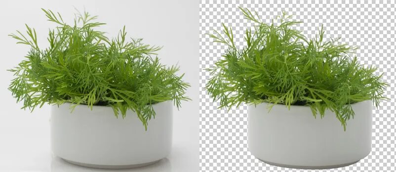 Image clipping. Clippings complex. clip-path. removing the background of images. example for clip-path.