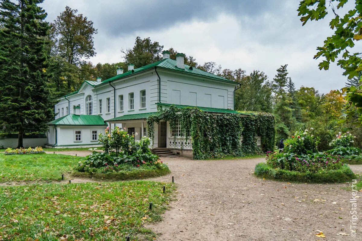 Экскурсия в ясную поляну