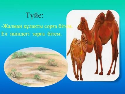 Teenage Mutant Ninja Turtles секс видео