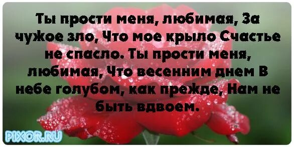 Песня прости так вышло милый друг. Стих прости меня за все. Прости любимая моя. Прости меня любимый. Стихи прости меня любимая.