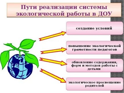 Задачи экологического просвещения