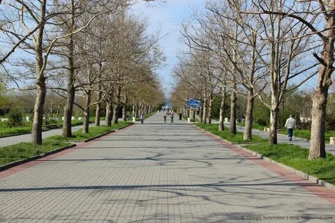Парк победы прогулка