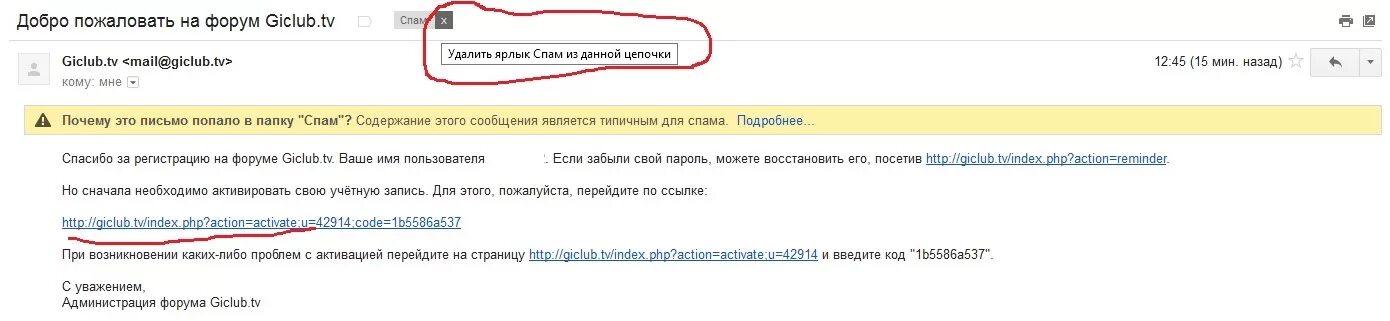 Как сделать чтобы письма не приходили. Письма попадают в спам. Спам в майл почте. Спам пример. Пример спама на почте.