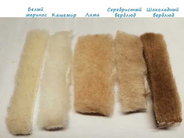 Шерстяная ткань. Шерстяные ткани виды. Руно шерсть. Шерстяные и хлопчатобумажные ткани. Как отличить шерстяную.