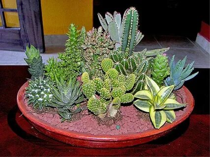 Plant 2014