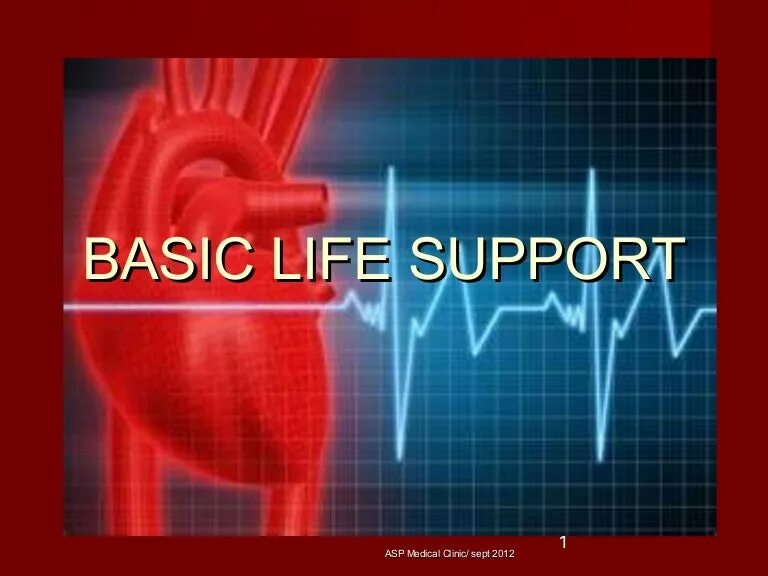 My life support. Basic life support. Bls это в медицине. Basic life support. Life not supported.