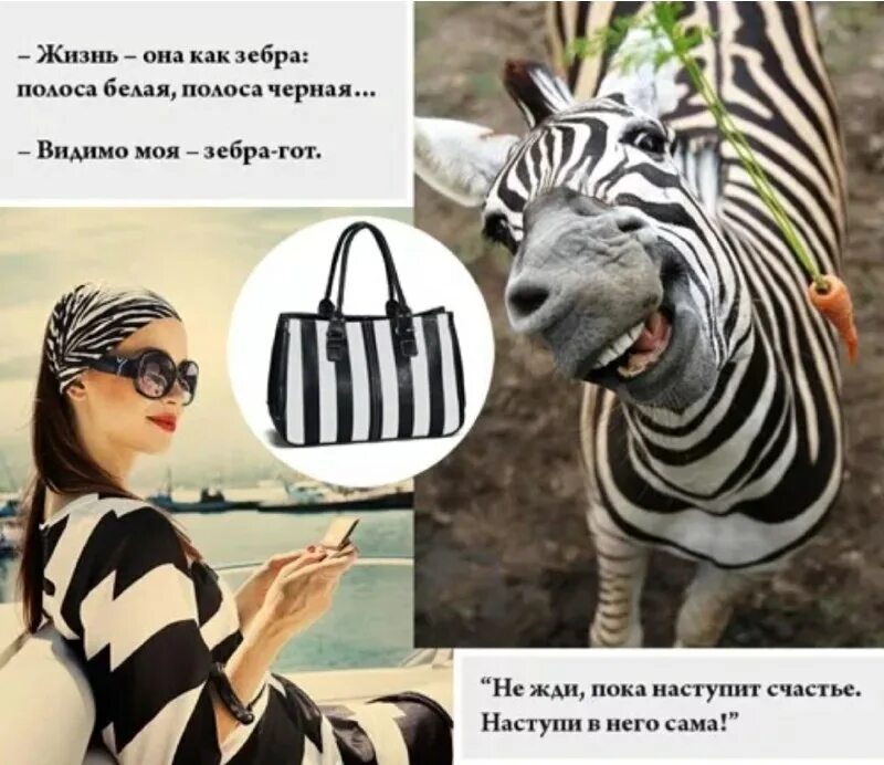 полоса черная, полоса белая. жизнь зебра. жизнь как зебра. жизнь как зебра полоса белая. черно белая полоса в жизни.