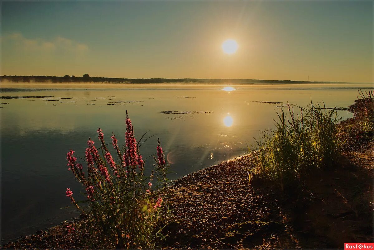 Кама с утра. Река Кама на рассвете. Утро на реке Кама. Река Кама утром. Пейзаж Сарапул.