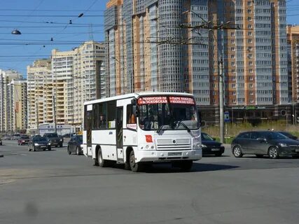 62 автобус спб