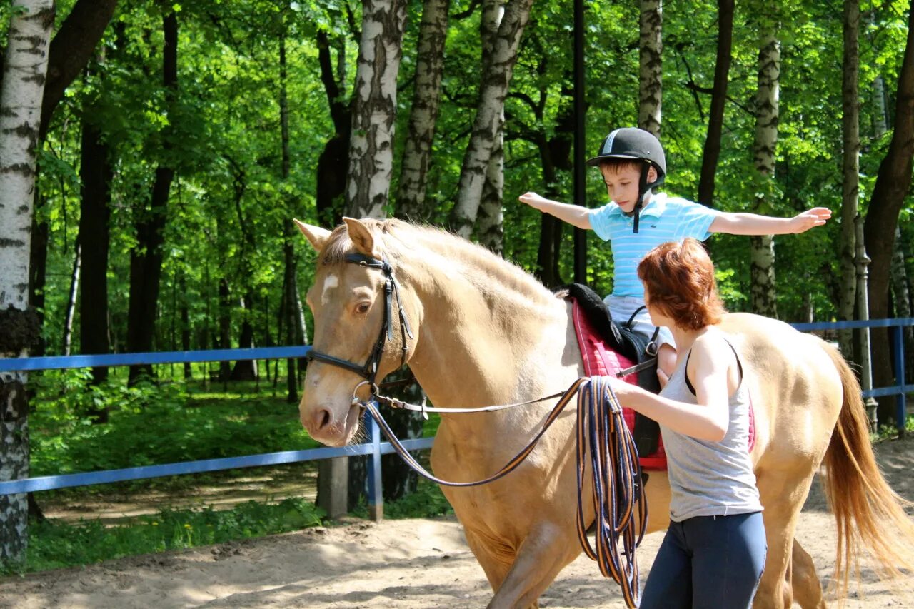 Верховая езда для детей. Катание на лошадях. Прогулка на конях. Иппотерапия. Прогулка на лошадях с детьми.